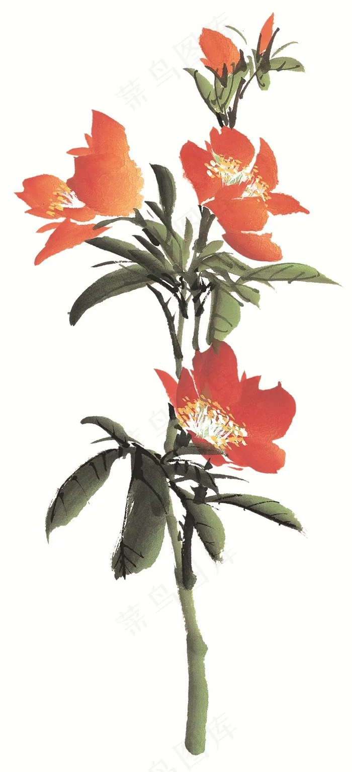 写意花卉欣赏jpg素材