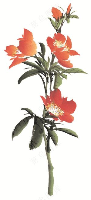 写意花卉欣赏jpg素材