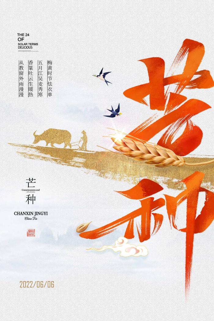 芒种 芒种海报图片