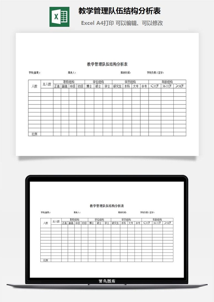 教学管理队伍结构分析表excel模板