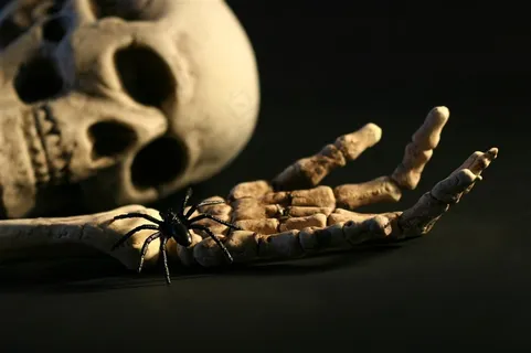 人物骨骼骨骸死亡图