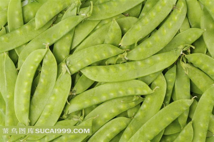 豌豆角高清摄影素材