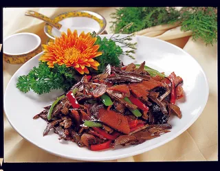 CXC06442烟笋炒腊肉