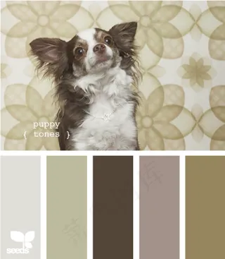 动物配色色卡色彩搭配