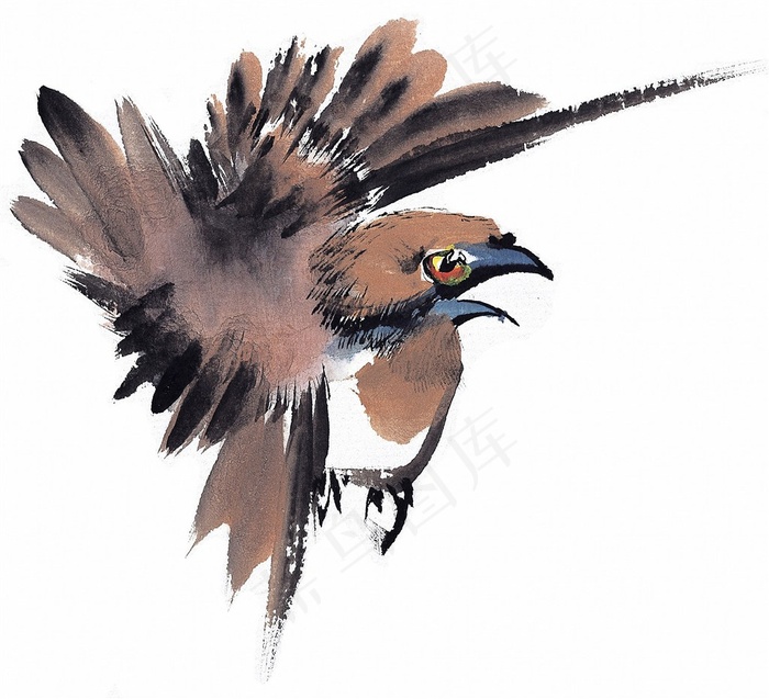 画鸟大图jpg素材