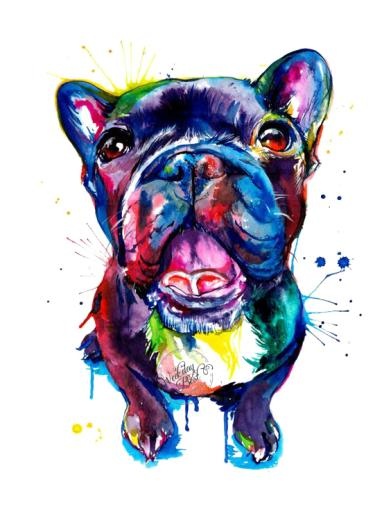 斗牛犬 PNG免抠(564x737)