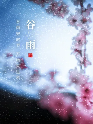 谷雨海报二十四节气谷雨广告