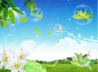 草原蓝天花卉背景墙