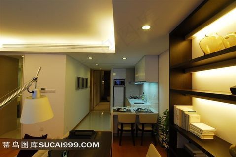 现代豪华简约风格室内装修