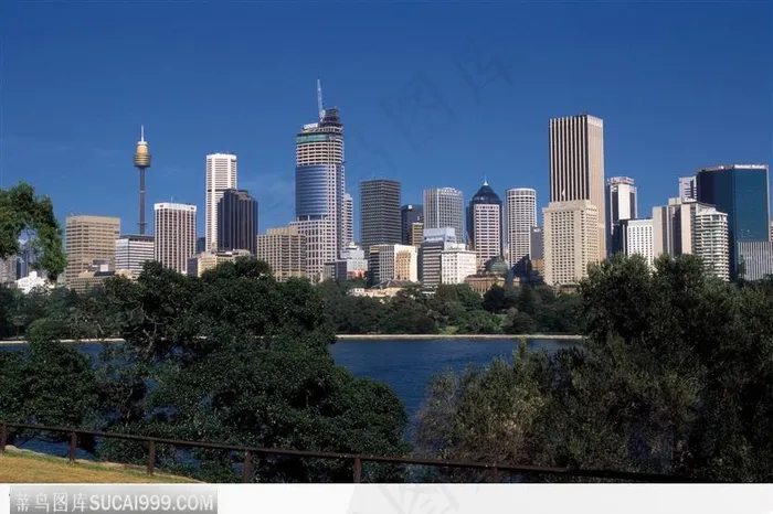 城市 湖水 公园