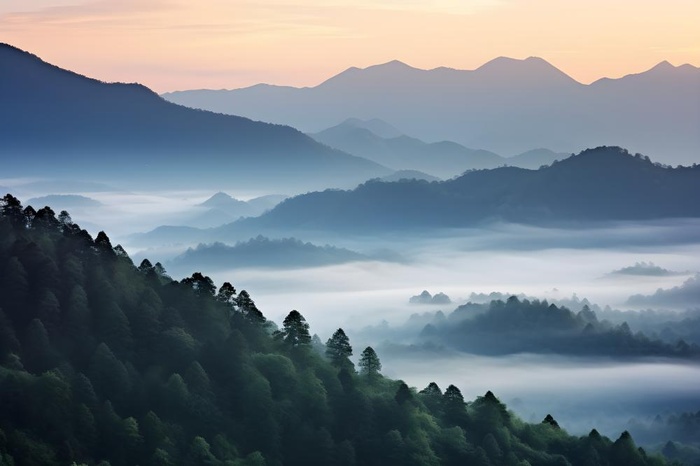 山脉树林高空摄影