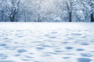 冬季下雪天白雪覆盖大地美景摄影图