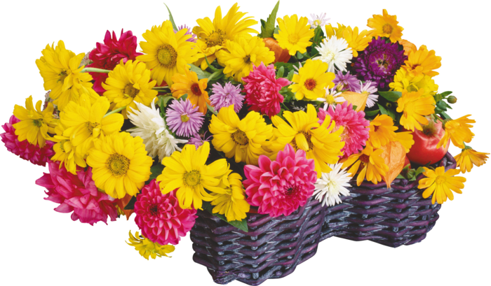 花饰和花束 免抠