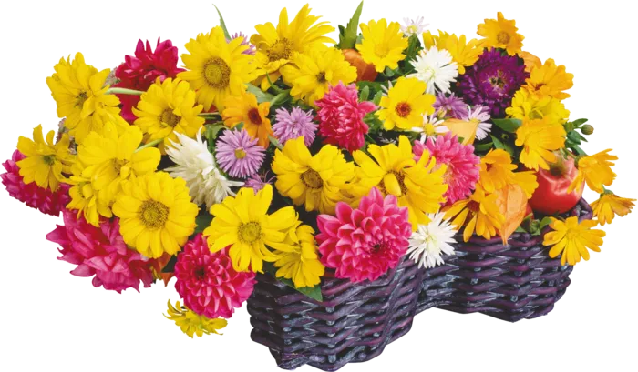 花饰和花束 免抠