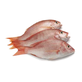 鱼类(20)海鲜超市商品红酒白底图免抠实物摄影png格式图片透明底