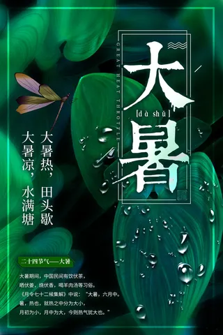 传统节日大暑海报