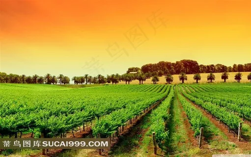 田园风光自然风景图片