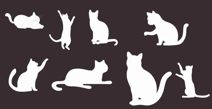 小猫免抠图cdr矢量模版下载