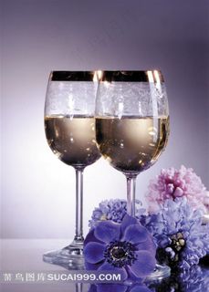 玻璃酒杯子
