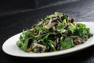 LCSC1471凉拌蛇皮