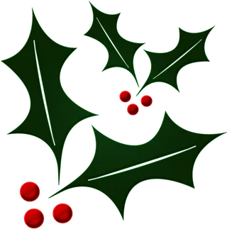 叶子果实圣诞节