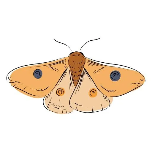 飞蛾免抠(512x512)