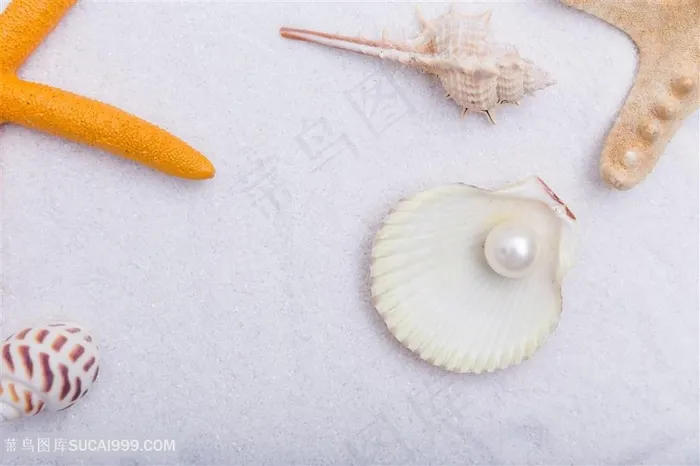 夏日沙滩珍珠贝壳海星素材