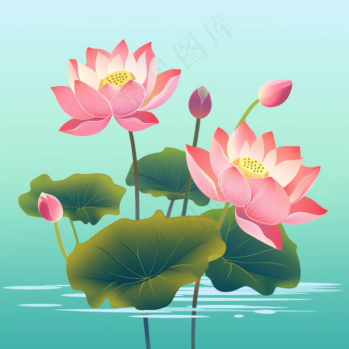 荷花莲花荷叶盛开卡通插画(3072x3072)