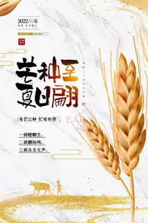 芒种 芒种宣传海报