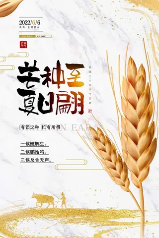 芒种 芒种宣传海报