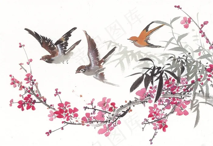 国画花鸟系列美图素材
