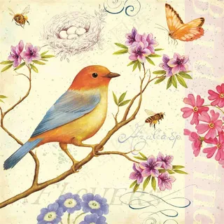 复古花鸟装饰画 复古花鸟装饰画