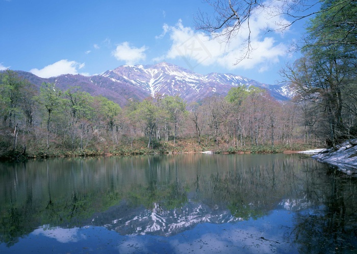 绿树山水 126