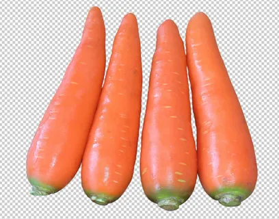 胡萝卜免扣素材 胡萝卜免扣素材