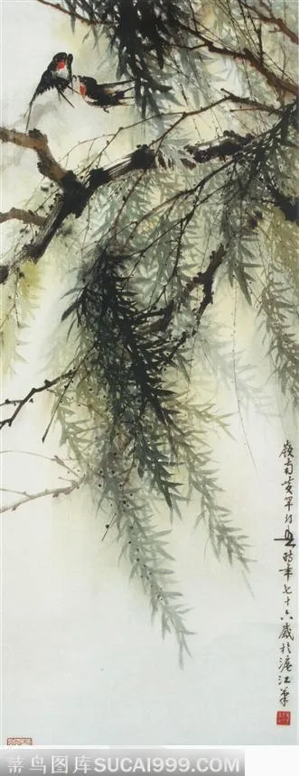 柳燕图
