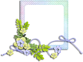 植物相框卡通简笔春季素材谷雨