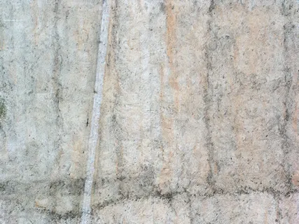 各式背景 1184 各式背景 1184