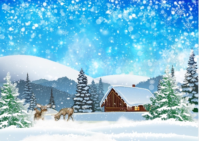 圣诞节白色雪花风景背景墙