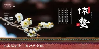 深色高档二十四节气惊蛰展板