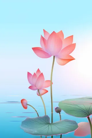 简约清新淡粉色荷花背景
