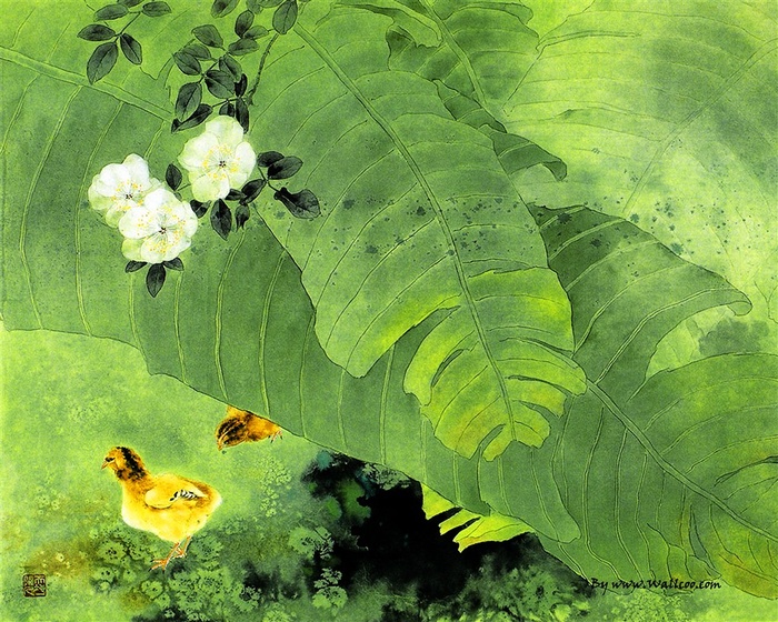 芭蕉叶工笔画