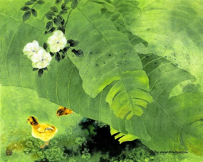 芭蕉叶工笔画