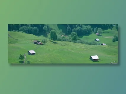 树林前草地上的小木屋