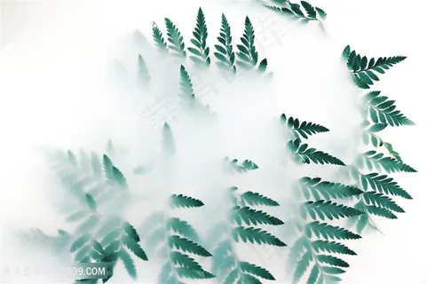 白雾中的植物背景图片 白雾中的植物背景图片