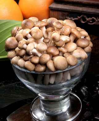 蘑菇香菇金针菇杂菇菌类美食素菜