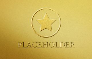 LOGO样机展示效果