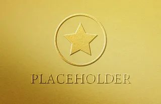 LOGO样机展示效果