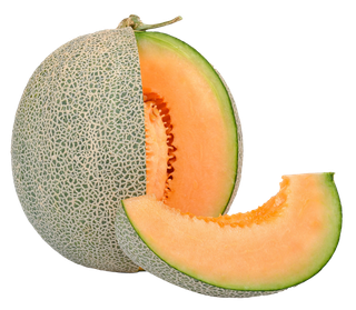 哈密瓜 (15)水果超市商品白底图免抠实物摄影png格式图片透明底