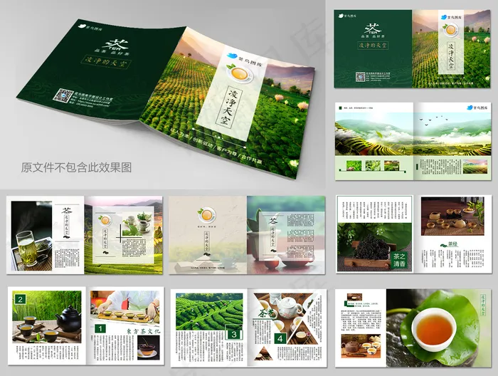 绿色清新茶叶茶文化画册cdr矢量模版下载