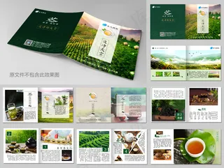 绿色清新茶叶茶文化画册